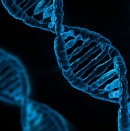 Der Standortausbau wird die GMP-konforme Produktion im Kilo-Maßstab von Plasmid-DNA und rekombinantem Protein für klinische Testphasen und die spätere Vermarktung ermöglichen. Der Standortausbau wird die GMP-konforme Produktion im Kilo-Maßstab von Plasmid-DNA und rekombinantem Protein für klinische Testphasen und die spätere Vermarktung ermöglichen.