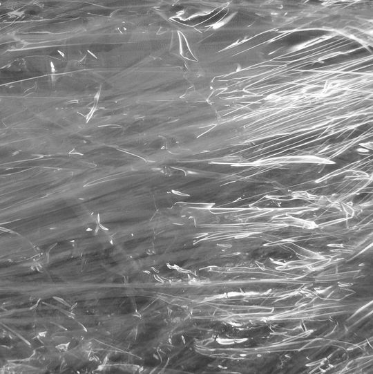 Gelinova will biobasierte Folie aus Gelatine und Agar-Agar produzieren, die dann für Verpackungen genutzt werden kann. Gelinova will biobasierte Folie aus Gelatine und Agar-Agar produzieren, die dann für Verpackungen genutzt werden kann.