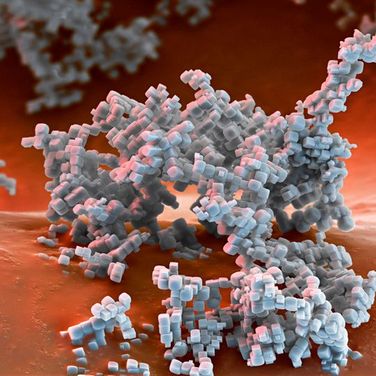 BASF’s specialty zeolites based on crystalline alumosilicates play a key role in diesel automotive emission catalysts to reduce harmful NOx emissions. Magnification 8000:1 (15 cm in width) BASF’s specialty zeolites based on crystalline alumosilicates play a key role in diesel automotive emission catalysts to reduce harmful NOx emissions. Magnification 8000:1 (15 cm in width)