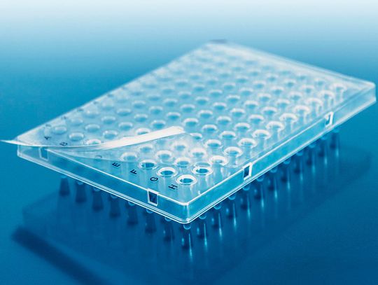 PCR-Platte PCR-Platte