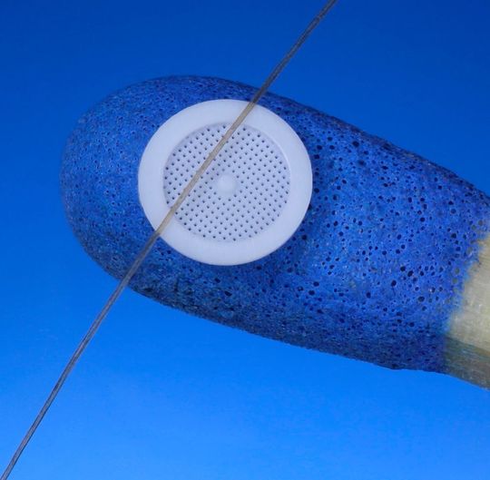 Beeindruckender Vergleich mit Haar und Streichholz aus der Mikro-Spritzgusswelt von Wittmann Battenfeld: Dieser Mikrofilter aus POM bietet ein Gitter mit 80-µm-Poren. Hergestellt auf einer Micropower 15/10 in Reinraumausführung. Beeindruckender Vergleich mit Haar und Streichholz aus der Mikro-Spritzgusswelt von Wittmann Battenfeld: Dieser Mikrofilter aus POM bietet ein Gitter mit 80-µm-Poren. Hergestellt auf einer Micropower 15/10 in Reinraumausführung.