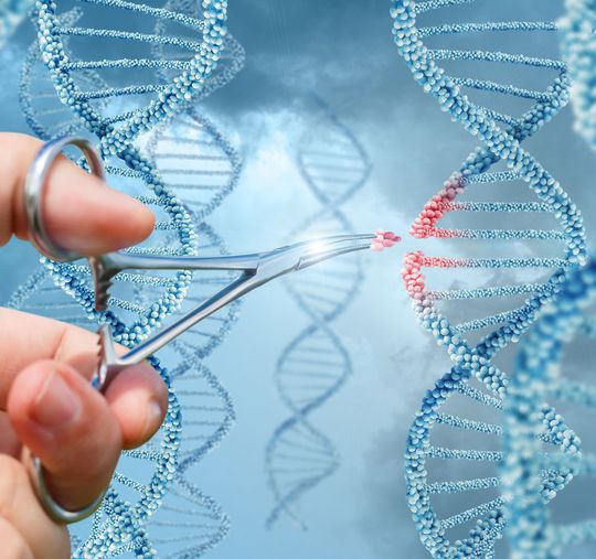 Die deutsche Bevölkerung steht Genmodifizierungstechniken wie der „Genschere“ Crispr/Cas skeptisch gegenüber. Die deutsche Bevölkerung steht Genmodifizierungstechniken wie der „Genschere“ Crispr/Cas skeptisch gegenüber.