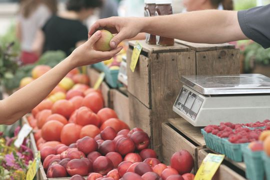 Die wichtigste Bezugsquelle im Einkauf ist nach wie vor der Direktkontakt. Gleich danach kommen jedoch Online-Shops und Marktplätze, da Produkte hier schnell und unkompliziert gefunden werden können. Die wichtigste Bezugsquelle im Einkauf ist nach wie vor der Direktkontakt. Gleich danach kommen jedoch Online-Shops und Marktplätze, da Produkte hier schnell und unkompliziert gefunden werden können.