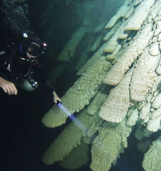 Ein Taucher untersucht die Hells Bells-Formationen in der El Zapote-Höhle bei Puerto Morelos auf der Yukatan-Halbinsel. Ein Taucher untersucht die Hells Bells-Formationen in der El Zapote-Höhle bei Puerto Morelos auf der Yukatan-Halbinsel.