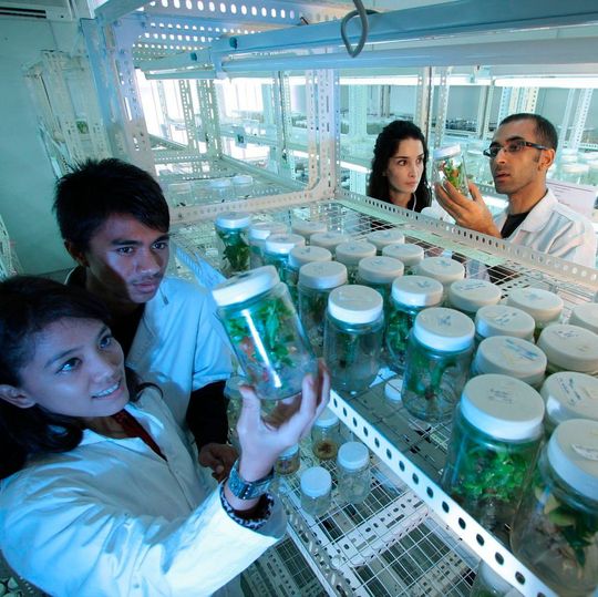 Die biopharmazeutische Industrie ist nach wie vor auf dem Vormarsch. Die biopharmazeutische Industrie ist nach wie vor auf dem Vormarsch.
