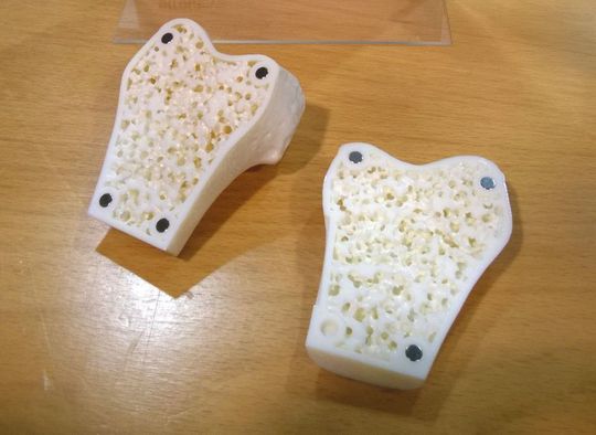 Mit GrabCAD Voxel Print können realistische anatomische Modelle wie diesen poriösen, gewebeartigen Knochen für chirurgische Eingriffe wie Schneiden, Schleifen und Bohren erstellt werden. Mit GrabCAD Voxel Print können realistische anatomische Modelle wie diesen poriösen, gewebeartigen Knochen für chirurgische Eingriffe wie Schneiden, Schleifen und Bohren erstellt werden.