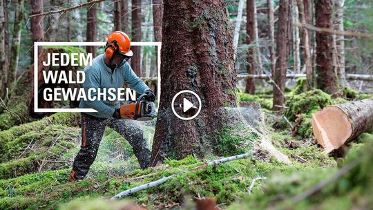 Die STIHL MS 462 C-M im Test in den Wäldern Alaskas – mit der neuen Kampagne zeigen STIHL und Publicis Pixelpark, wie der Content in den Wald kam. Die STIHL MS 462 C-M im Test in den Wäldern Alaskas – mit der neuen Kampagne zeigen STIHL und Publicis Pixelpark, wie der Content in den Wald kam.