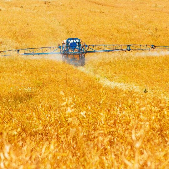 Glyphosate use has regularly been questioned due to its potentially hazardous nature to humans and toxicity to aquatic life. Glyphosate use has regularly been questioned due to its potentially hazardous nature to humans and toxicity to aquatic life.
