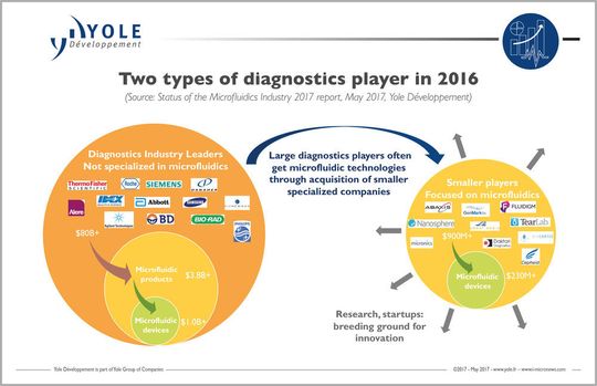 Two types of diagnostics players in 2016 Two types of diagnostics players in 2016