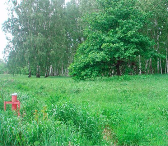 Grundwassermessstelle im HCH-kontaminierten Flutgebiet der Mulde/Spittelwasser Grundwassermessstelle im HCH-kontaminierten Flutgebiet der Mulde/Spittelwasser