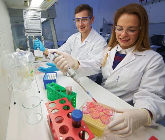 Dr. Jana Gerstmeier und Markus Werner arbeiten am Lehrstuhl für Pharmazeutische und Medizinische Chemie der Universität Jena. Die Forscher konnten gemeinsam mit Kollegen der Harvard Medial School in Boston zeigen, dass Krankheitserreger in menschlichen Immunzellen ganz gegensätzliche Wirkungen hervorrufen können.