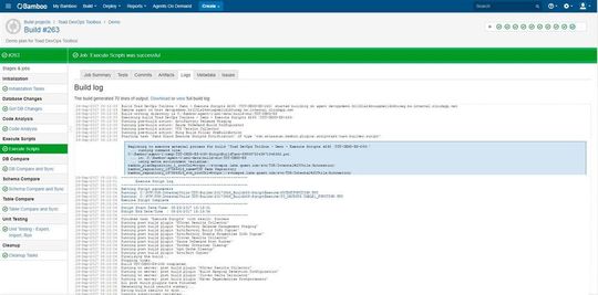Ein statischer Code-Review HTML Report, generiert durch einen Code-Analyse-Aufruf des Toad DevOps Toolkits, in der Bamboo-Build-Konsole.