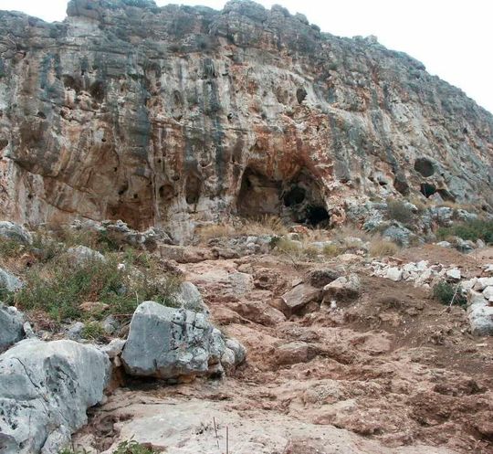 Der Fundort, die Misliya-Höhle in Israel, ist eine von etlichen prähistorischen Höhlen, die am Mount Carmel gelegen sind. Der Fundort, die Misliya-Höhle in Israel, ist eine von etlichen prähistorischen Höhlen, die am Mount Carmel gelegen sind.