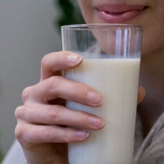 Nehmen Kühe über das Futter ausreichend Vitamin A zu sich, dann sinkt das Risiko für eine allergische Reaktion bei Kuhmilchallergikern. Nehmen Kühe über das Futter ausreichend Vitamin A zu sich, dann sinkt das Risiko für eine allergische Reaktion bei Kuhmilchallergikern.