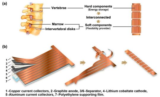 Der Prototyp besteht aus einem dicken, starren Segment, das Energie speichert, wobei die Elektroden („Wirbel“) um einen dünnen, flexiblen Teil („Mark“) gewickelt sind, der die wirbelartigen Elektroden-Stapel miteinander verbindet.