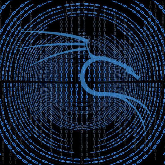 Kali gehört zu den bekanntesten Linux-Distributionen für Sicherheit im Netzwerk. Kali gehört zu den bekanntesten Linux-Distributionen für Sicherheit im Netzwerk.