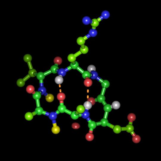 Cyclisches Hexapeptid in seiner bioaktiven Form mit der Integrin-bindenden Tripeptidsequenz Arginin-Glycin-Asparaginsäure Cyclisches Hexapeptid in seiner bioaktiven Form mit der Integrin-bindenden Tripeptidsequenz Arginin-Glycin-Asparaginsäure