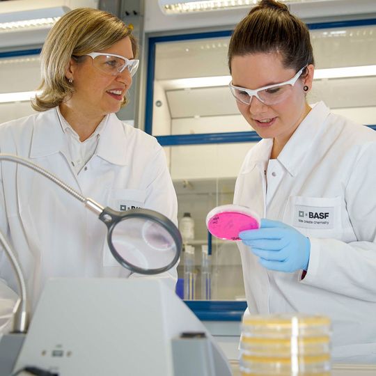 Worldwide, BASF researchers work on new agricultural solutions. In 2017, BASF spent approx. $ 619 million on research and development in the Crop Protection division. Worldwide, BASF researchers work on new agricultural solutions. In 2017, BASF spent approx. $ 619 million on research and development in the Crop Protection division.