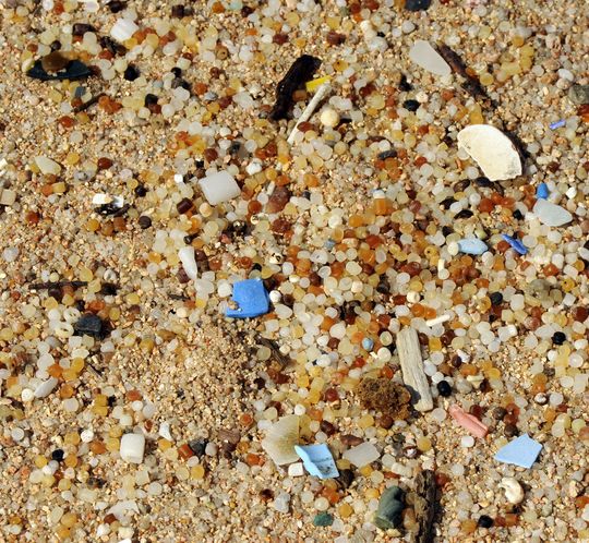 Mikroplastik entsteht oft durch Zerfall größerer Partikel und kann mittlerweile überall in der Umwelt nachgewiesen werden. Im Wasser siedeln sich dort trotz der geringen Größe bakterielle Biofilme an. Mikroplastik entsteht oft durch Zerfall größerer Partikel und kann mittlerweile überall in der Umwelt nachgewiesen werden. Im Wasser siedeln sich dort trotz der geringen Größe bakterielle Biofilme an.