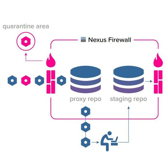 Nexus firewall что это