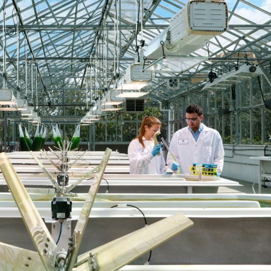 Synthetic Genomics’ scientists use advanced cell engineering technologies. Synthetic Genomics’ scientists use advanced cell engineering technologies.