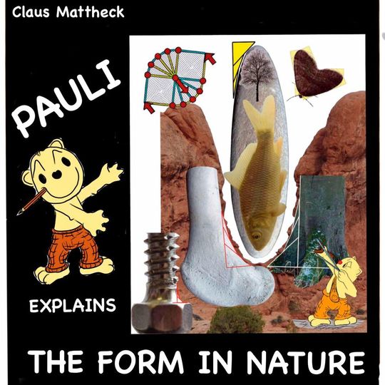 "Pauli explains the form of nature" heißt das neueste Werk von Prof. Claus Matthek, erschienen im Verlag des Karlsruher Instituts für Technologie (KIT). "Pauli explains the form of nature" heißt das neueste Werk von Prof. Claus Matthek, erschienen im Verlag des Karlsruher Instituts für Technologie (KIT).