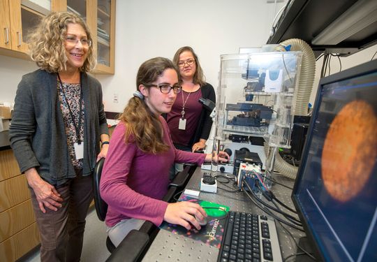 A discovery by Scripps Research scientists may offer insight into treating blood disorders such as sickle cell anemia. A discovery by Scripps Research scientists may offer insight into treating blood disorders such as sickle cell anemia.