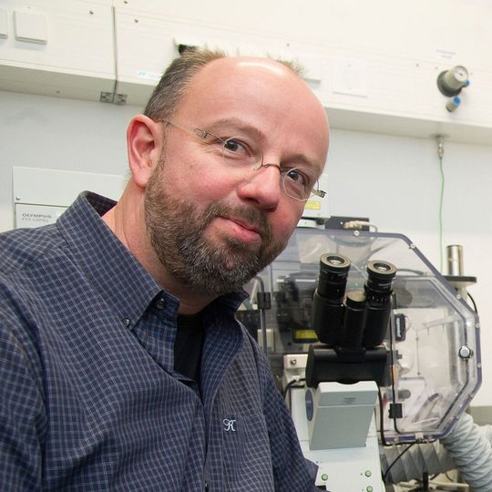 Prof. Dr. Jörg Höhfeld vom Institut für Zellbiologie der Universität Bonn ist Pressesprecher eines neuen Projekts zur Erforschung zellulärer Schutzmechanismen. Prof. Dr. Jörg Höhfeld vom Institut für Zellbiologie der Universität Bonn ist Pressesprecher eines neuen Projekts zur Erforschung zellulärer Schutzmechanismen.