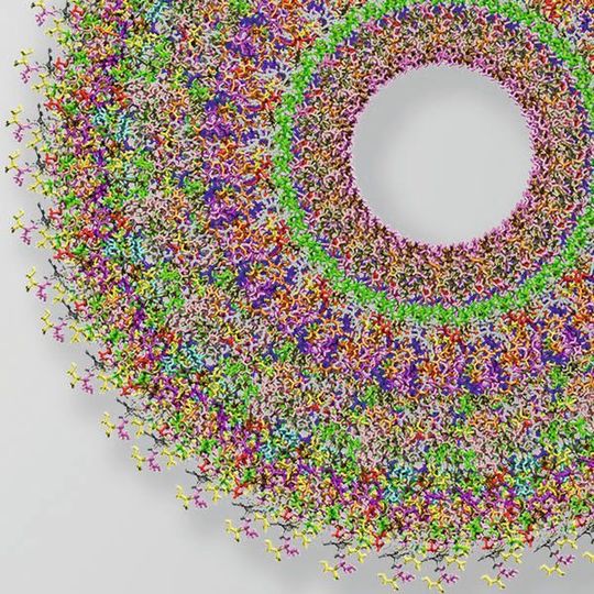 Virtuelles Werkstoff-Design: Auch winzige Objekte lassen sich detailiert abbilden. Im Bild ist das atomistische Modell des Tabakmosaikvirus zu sehen. Das röhrenförmige Virus ist ca. 300 nm lang und hat einen Durchmesser von 18 nm. Virtuelles Werkstoff-Design: Auch winzige Objekte lassen sich detailiert abbilden. Im Bild ist das atomistische Modell des Tabakmosaikvirus zu sehen. Das röhrenförmige Virus ist ca. 300 nm lang und hat einen Durchmesser von 18 nm.