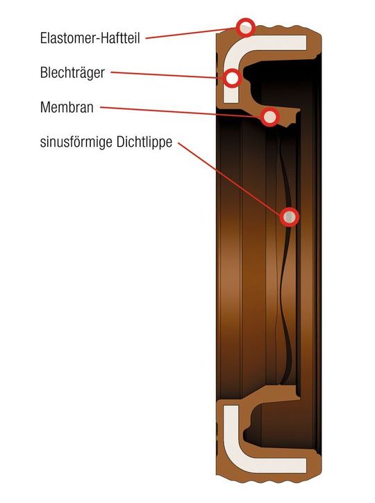SEW-Eurodrive stellt das neue Dichtsystem PSS vor: Durch den sinusförmigen Kontakt der Dichtlippe soll die entstehende Wärme auf eine größere Wellenoberfläche übetragen werden. SEW-Eurodrive stellt das neue Dichtsystem PSS vor: Durch den sinusförmigen Kontakt der Dichtlippe soll die entstehende Wärme auf eine größere Wellenoberfläche übetragen werden.