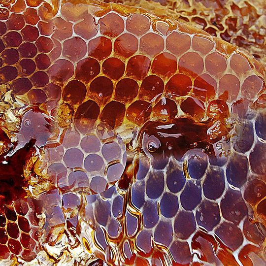 Honeypot und Honeynet sind ein Computersystem oder ein Netzwerk zum gezielten Anlocken von Angriffen. Als Scheinziele sind sie Fallen für Hacker und Cyberkriminelle. Honeypot und Honeynet sind ein Computersystem oder ein Netzwerk zum gezielten Anlocken von Angriffen. Als Scheinziele sind sie Fallen für Hacker und Cyberkriminelle.