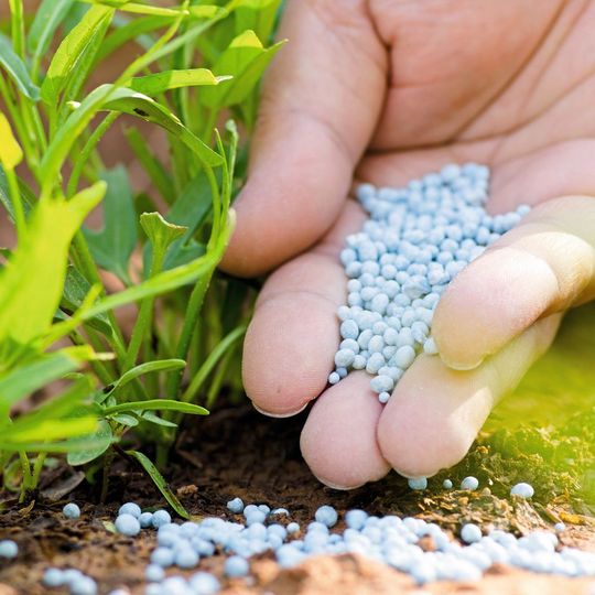 Aus der Kläranlage auf den Acker: Die Verwendung von Klärschlamm als Basis für Düngemittel stellt einige Herausforderungen. Aus der Kläranlage auf den Acker: Die Verwendung von Klärschlamm als Basis für Düngemittel stellt einige Herausforderungen.