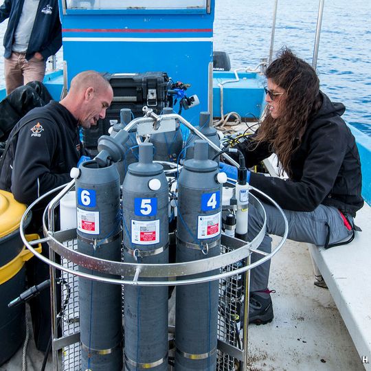 During a research cruise, it is necessary to analyse samples within a day to avoid changes in concentration due to preservation procedures. During a research cruise, it is necessary to analyse samples within a day to avoid changes in concentration due to preservation procedures.