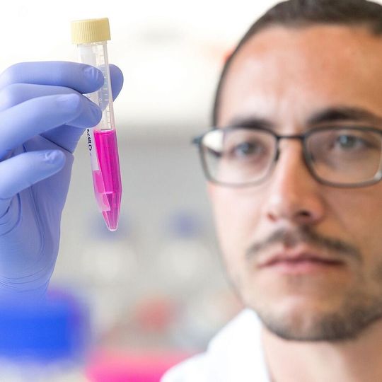 Das menschliche Milchprotein Lactoferrin blockiert die Plasminogenaktivierung und könnte aufgrund dieser Eigenschaft möglicherweise gegen Krebs und bestimmte Infektionen, z.B. gegen Borrelien, nützlich sein. Das menschliche Milchprotein Lactoferrin blockiert die Plasminogenaktivierung und könnte aufgrund dieser Eigenschaft möglicherweise gegen Krebs und bestimmte Infektionen, z.B. gegen Borrelien, nützlich sein.