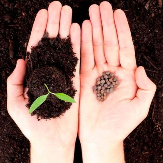 Corteva Agriscience will go to market through five regional corn and soybean seed brands in the U.S. Corteva Agriscience will go to market through five regional corn and soybean seed brands in the U.S.