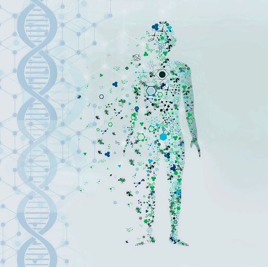 Abb.1: Die personalisierte Medizin soll zukünftig für bessere Diagnosen und Therapien sorgen. Abb.1: Die personalisierte Medizin soll zukünftig für bessere Diagnosen und Therapien sorgen.