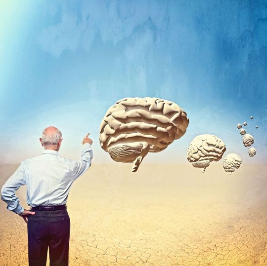 In der 1000-Gehirne-Studie untersuchen Forscher die Alterung des menschlichen Gehirns. (Symbolbild) In der 1000-Gehirne-Studie untersuchen Forscher die Alterung des menschlichen Gehirns. (Symbolbild)