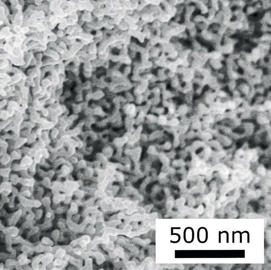 Nanoporöses Gold unter dem Elektronenmikroskop Nanoporöses Gold unter dem Elektronenmikroskop