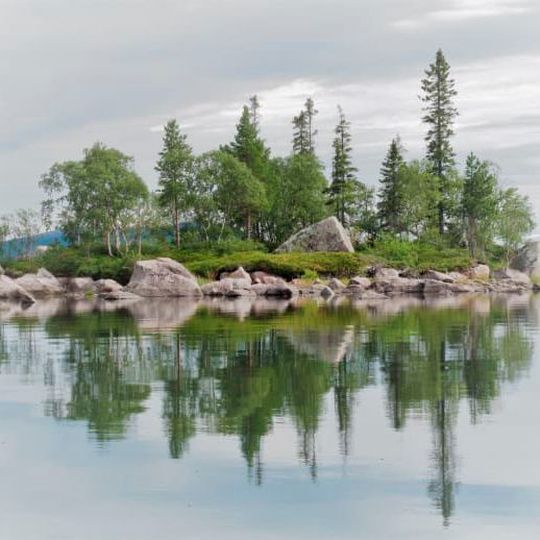 Researchers used a model study system consisting of 30 lake islands in the boreal forest of Sweden. Researchers used a model study system consisting of 30 lake islands in the boreal forest of Sweden.