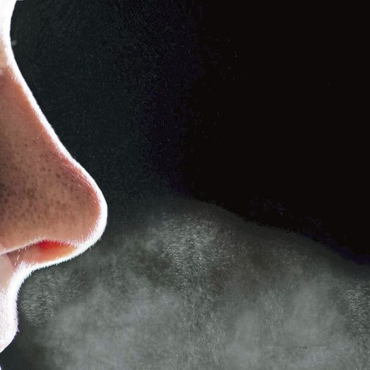 Die menschliche Nase nimmt komplexe Gasgemische – also Gerüche – wahr. Die menschliche Nase nimmt komplexe Gasgemische – also Gerüche – wahr.
