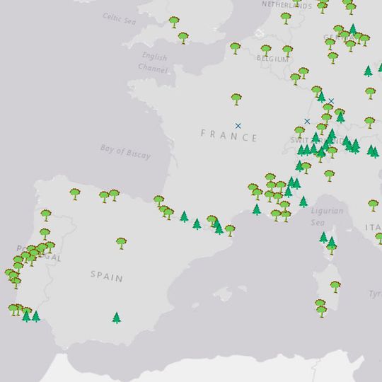 Übersichtskarte über die letzten Urwälder in Europa (vereinfachte Darstellung) (Ausschnitt) Übersichtskarte über die letzten Urwälder in Europa (vereinfachte Darstellung) (Ausschnitt)