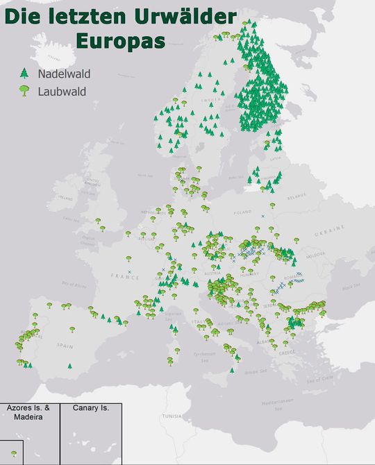 Übersichtskarte über die letzten Urwälder in Europa (vereinfachte Darstellung)
