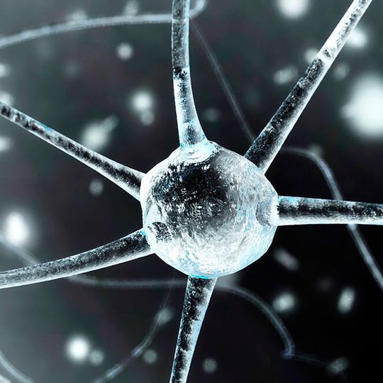 Das Open Source Deep Learning Framework Caffe zeichnet sich durch seine Schnelligkeit aus. Das Open Source Deep Learning Framework Caffe zeichnet sich durch seine Schnelligkeit aus.