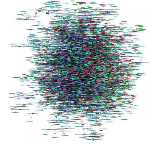 Halbautomatisch erzeugte biochemische Netzwerke helfen dabei, Zusammenhänge darzustellen und zu erkennen. Halbautomatisch erzeugte biochemische Netzwerke helfen dabei, Zusammenhänge darzustellen und zu erkennen.