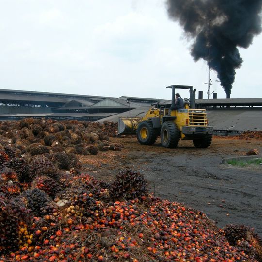 Palm oil processing plant in Indonesia Palm oil processing plant in Indonesia