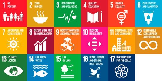 Die AI for Good Foundation will mit ihrer Arbeit einen Beitrag dazu leisten, die von der UN in der Agenda 2030 festgeschriebenen 17 Ziele für nachhaltige Entwicklung zu erreichen.