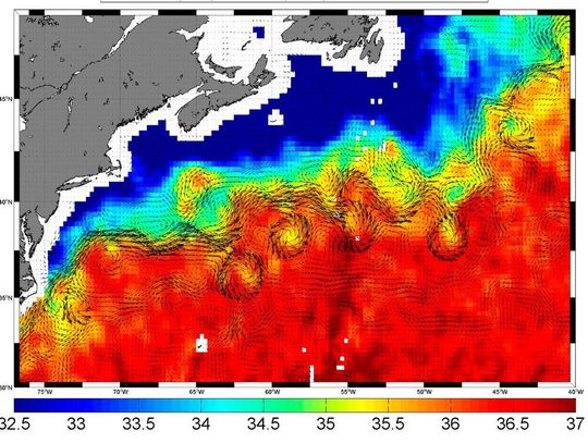 Von Mäandern des Golfstroms gehen ringförmige Wassertaschen ab, die im Gegenuhrzeigersinn kreisen.