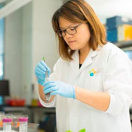 Assessing and improving the safety of treated wastewater is the current focus of Kaust Assistant Professor Peiying Hong’s research. Assessing and improving the safety of treated wastewater is the current focus of Kaust Assistant Professor Peiying Hong’s research.