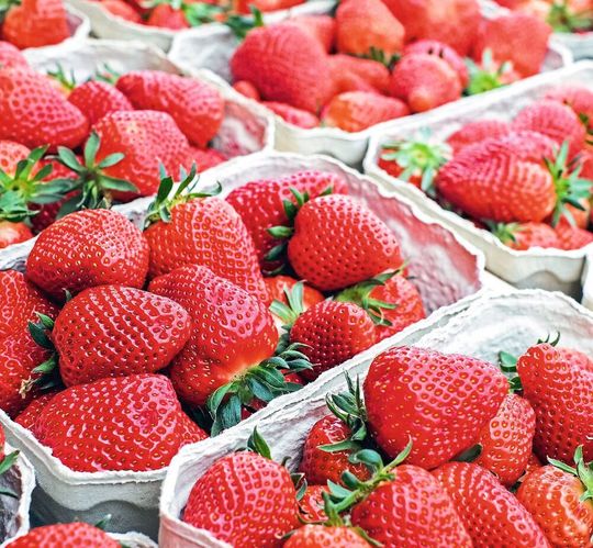 Erdbeeren gehören zu den Obstsorten mit dem größten Allergiepotential. Erdbeeren gehören zu den Obstsorten mit dem größten Allergiepotential.
