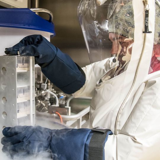 Arbeit im S4-Labor: Entnahme von Virusproben aus dem Cryotank. Die Proben lagern hier gekühlt in flüssigem Stickstoff bei -160°C Arbeit im S4-Labor: Entnahme von Virusproben aus dem Cryotank. Die Proben lagern hier gekühlt in flüssigem Stickstoff bei -160°C